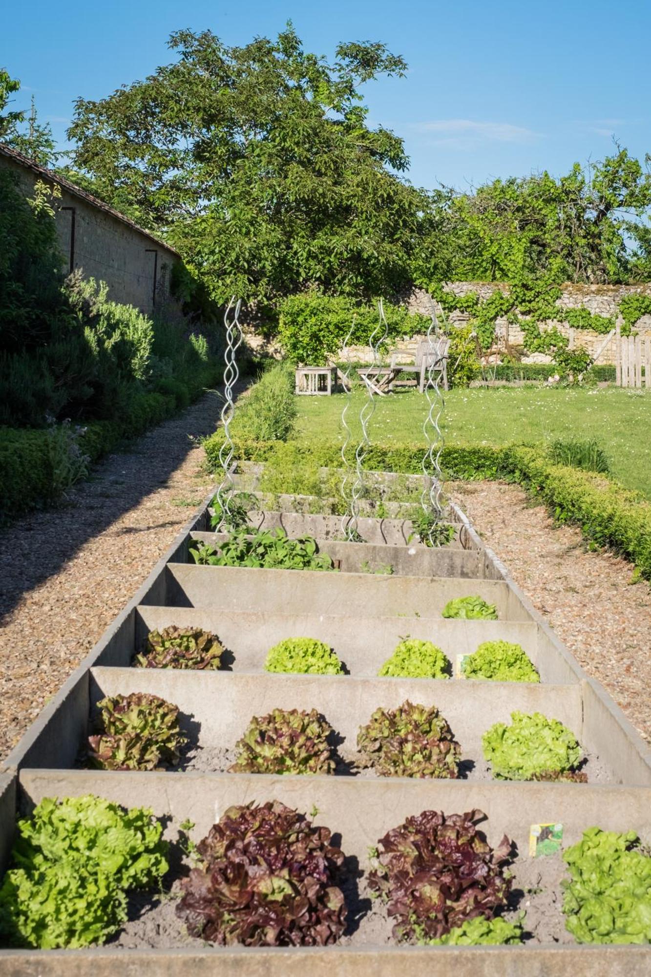 Auberge Du Bon Laboureur Chenonceaux Exterior foto The vegetable garden